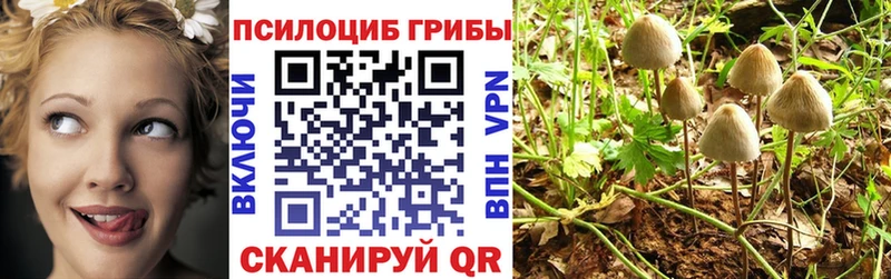 OMG дарнет шоп Костомукша Псилоцибиновые грибы Psilocybine cubensis